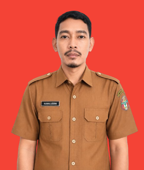 KAMALUDDIN, S.Kep.,Ns